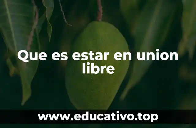 Que es estar en union libre
