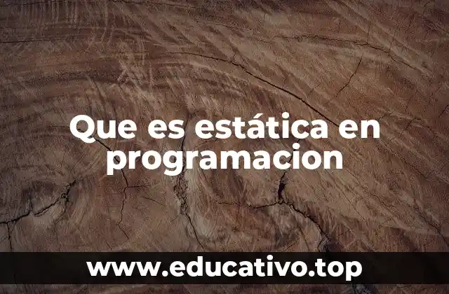 Que es estática en programacion