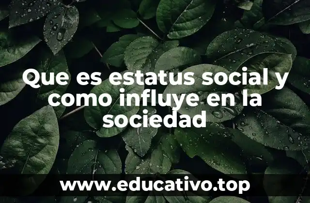 Que es estatus social y como influye en la sociedad