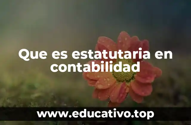 Que es estatutaria en contabilidad