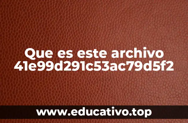 Que es este archivo 41e99d291c53ac79d5f2
