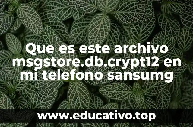 Que es este archivo msgstore.db.crypt12 en mi telefono sansumg