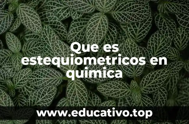 Que es estequiometricos en quimica