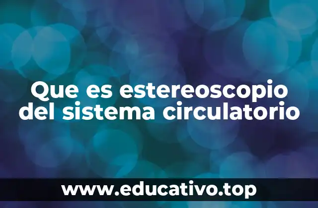 Que es estereoscopio del sistema circulatorio
