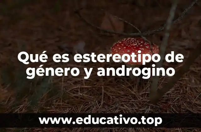 Qué es estereotipo de género y androgino