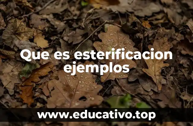 Que es esterificacion ejemplos