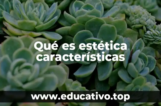 Qué es estética características