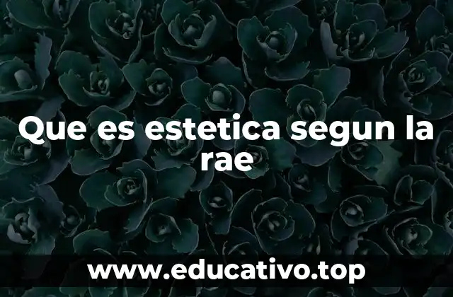 Que es estetica segun la rae