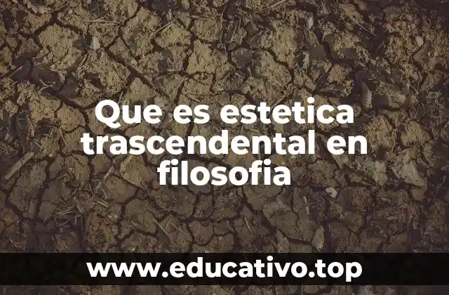 Que es estetica trascendental en filosofia