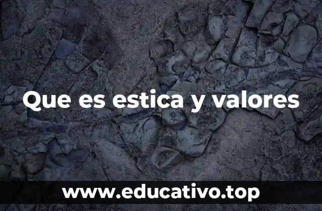 Que es estica y valores