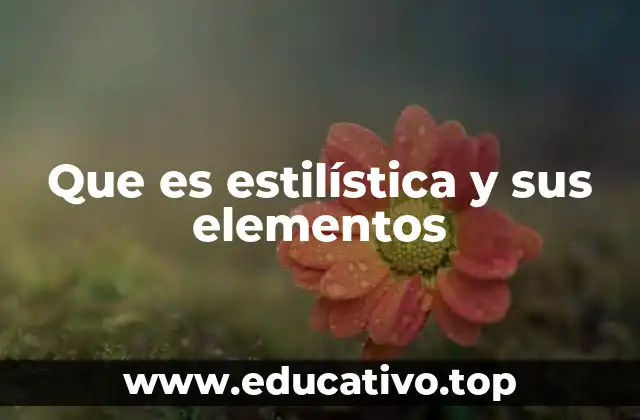 Que es estilística y sus elementos