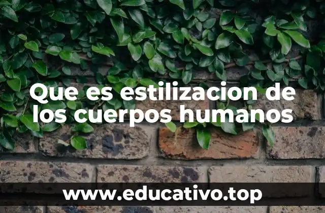 Que es estilizacion de los cuerpos humanos