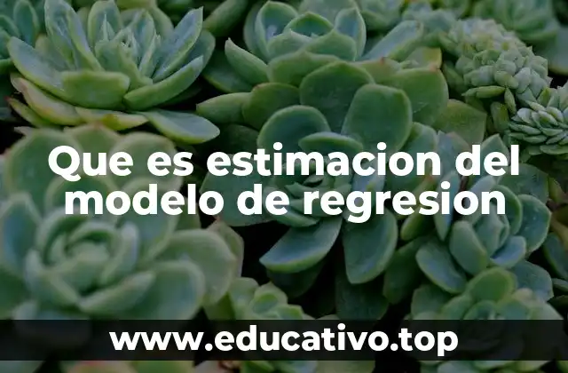 Que es estimacion del modelo de regresion