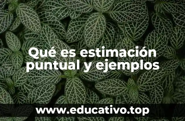 Qué es estimación puntual y ejemplos