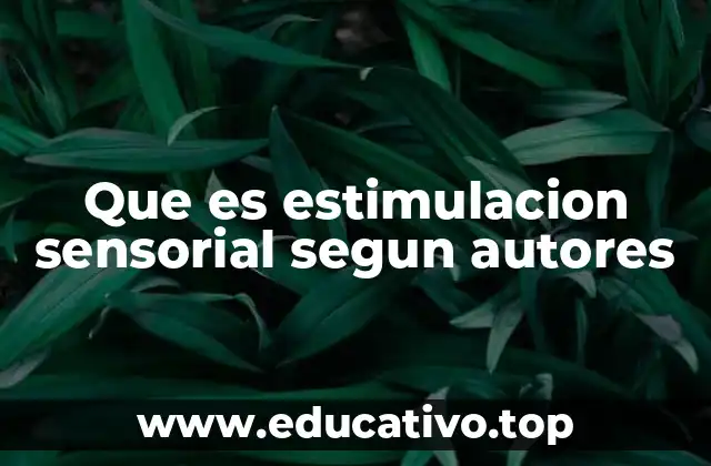 Que es estimulacion sensorial segun autores