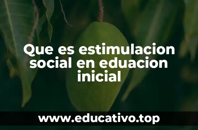 Que es estimulacion social en eduacion inicial