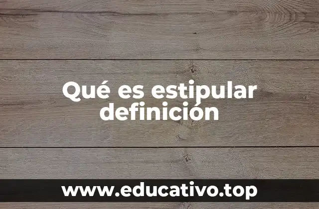 Qué es estipular definición