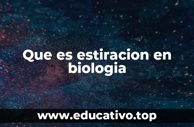 Que es estiracion en biologia