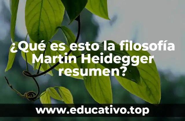 ¿Qué es esto la filosofía Martin Heidegger resumen?