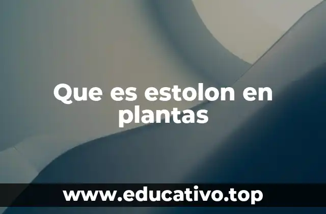 Que es estolon en plantas