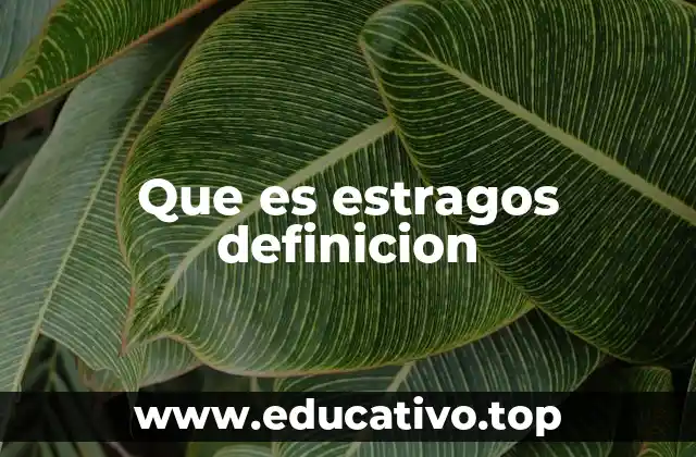 Que es estragos definicion