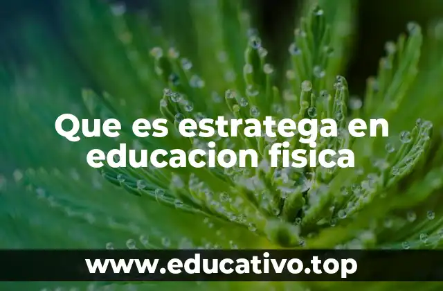 Que es estratega en educacion fisica