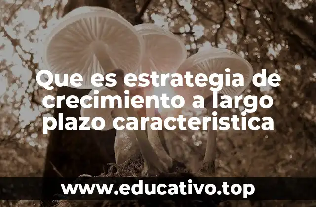 Que es estrategia de crecimiento a largo plazo caracteristica