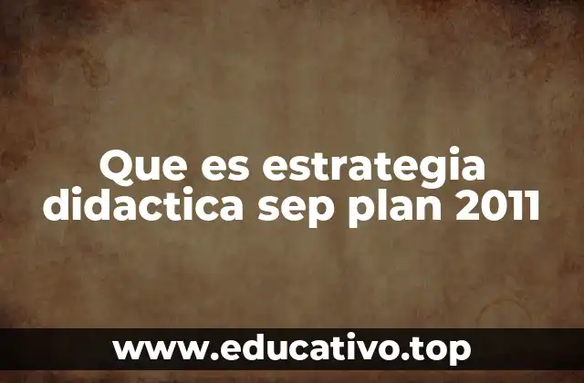 Que es estrategia didactica sep plan 2011