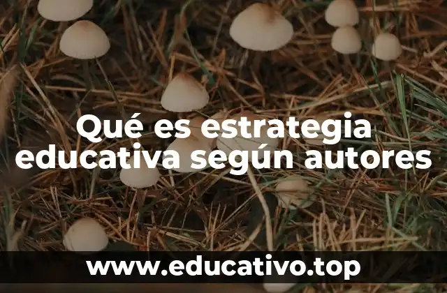 Qué es estrategia educativa según autores
