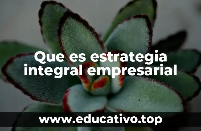 Que es estrategia integral empresarial