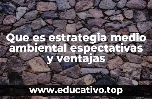Que es estrategia medio ambiental espectativas y ventajas