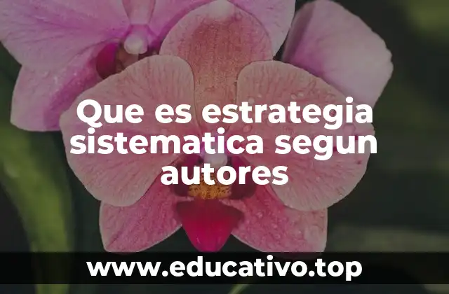 Que es estrategia sistematica segun autores
