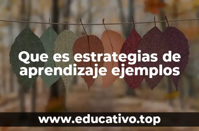 Cómo las estrategias de aprendizaje influyen en el éxito educativo