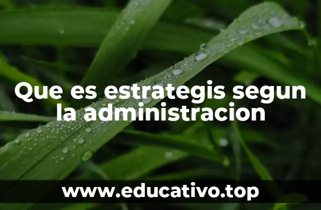 Que es estrategis segun la administracion