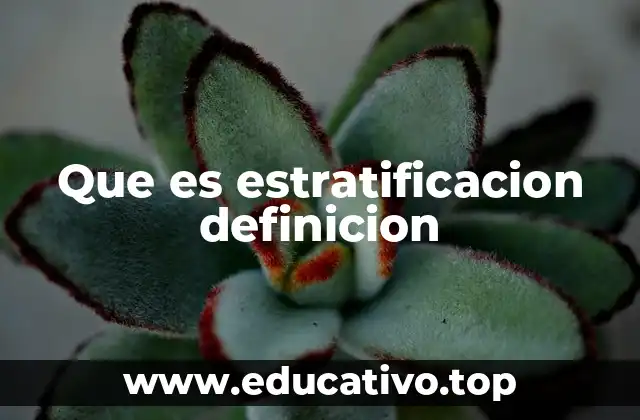 Que es estratificacion definicion