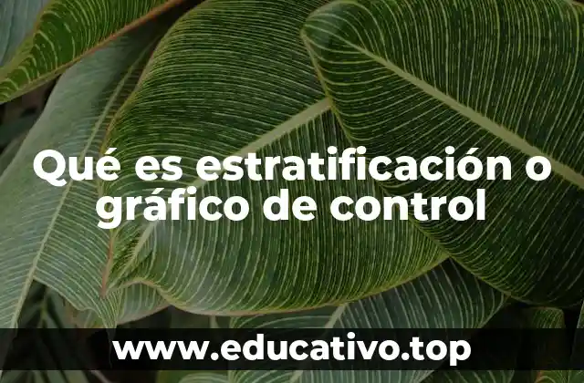 Qué es estratificación o gráfico de control