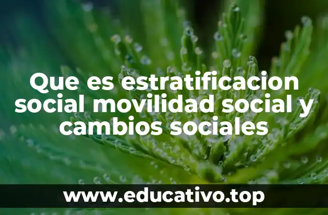 Que es estratificacion social movilidad social y cambios sociales