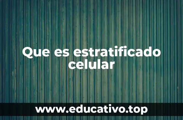 Que es estratificado celular