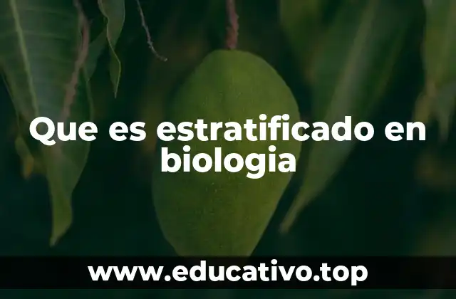 Que es estratificado en biologia