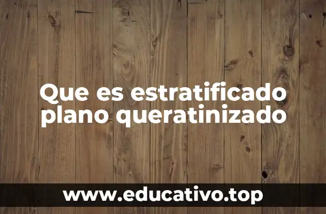 Características del tejido epitelial estratificado plano queratinizado