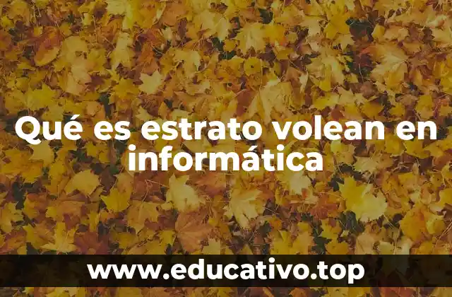 Qué es estrato volean en informática