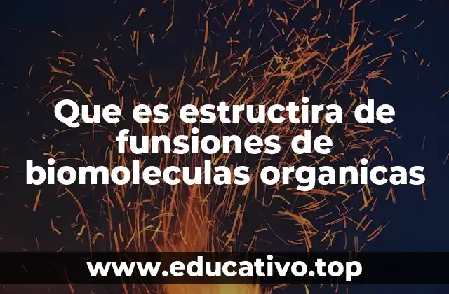 La relación entre estructura y función en la química de los seres vivos