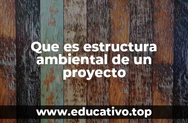 Que es estructura ambiental de un proyecto