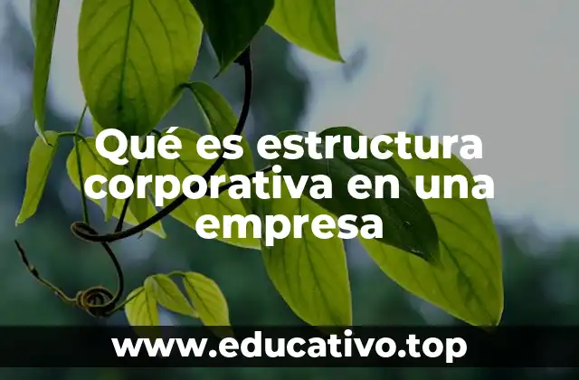Qué es estructura corporativa en una empresa