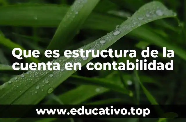 Que es estructura de la cuenta en contabilidad