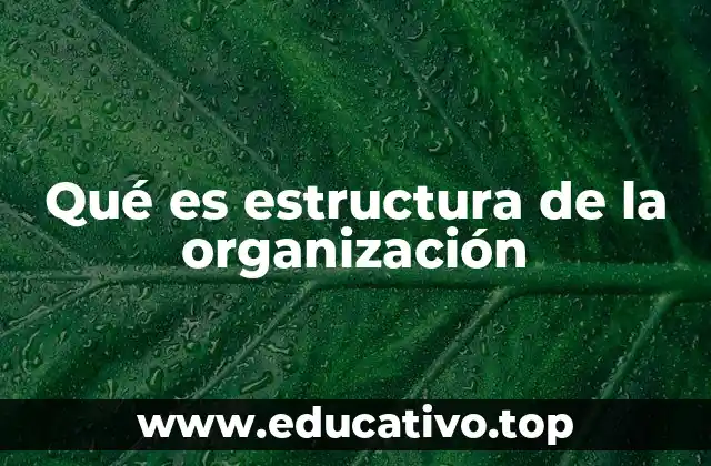 Qué es estructura de la organización