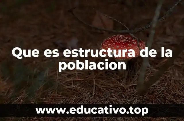 Que es estructura de la poblacion
