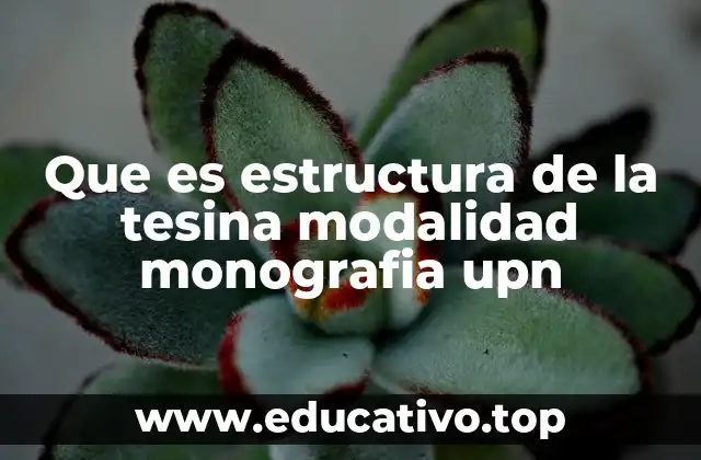 Que es estructura de la tesina modalidad monografia upn