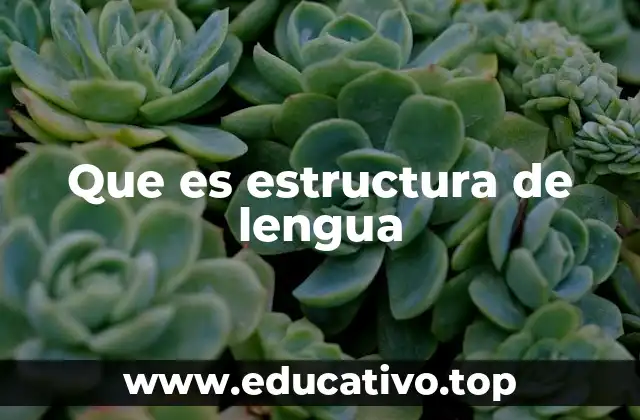 Que es estructura de lengua