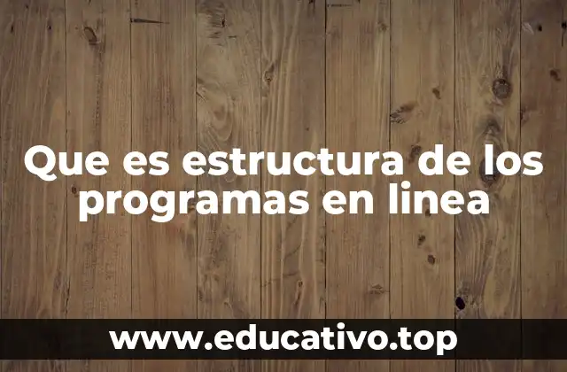Que es estructura de los programas en linea